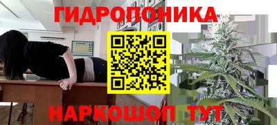ПСИЛОЦИБИНОВЫЕ ГРИБЫ Будённовск