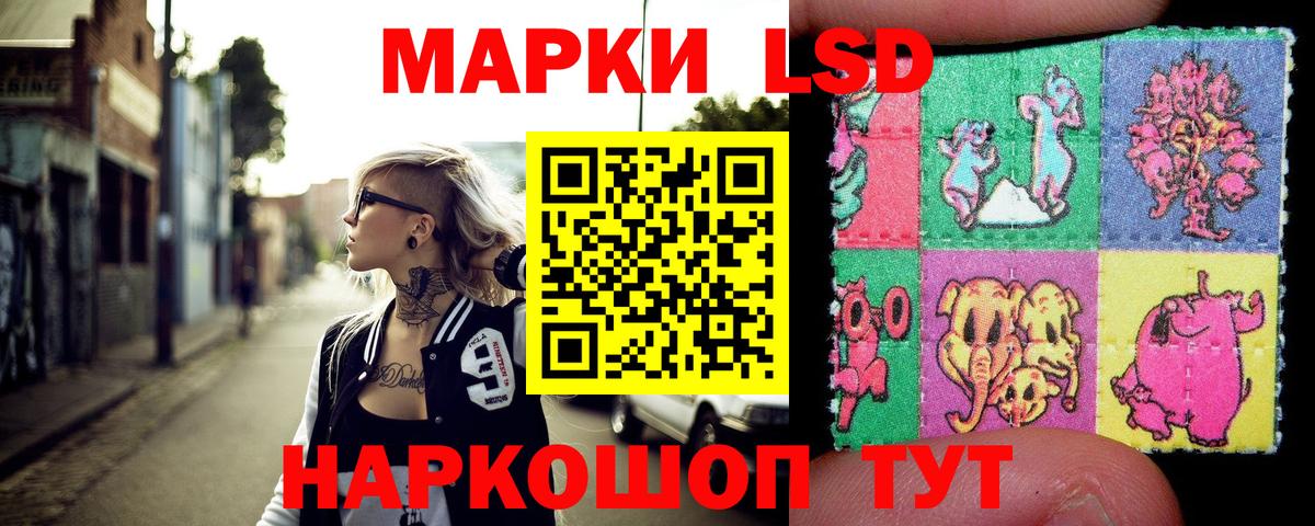 А ПВП Энгельс