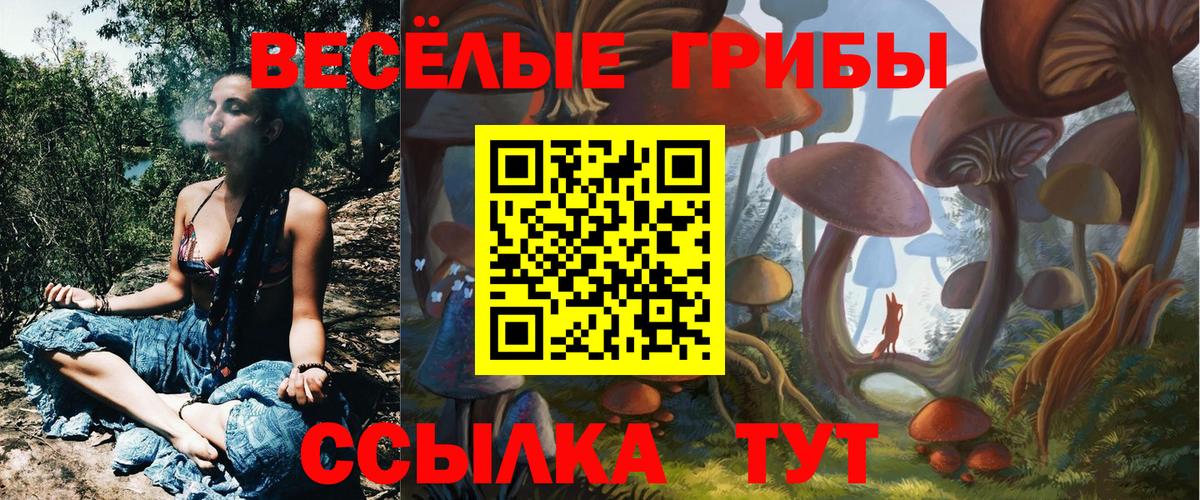 Псилоцибиновые грибы ЛСД Энгельс
