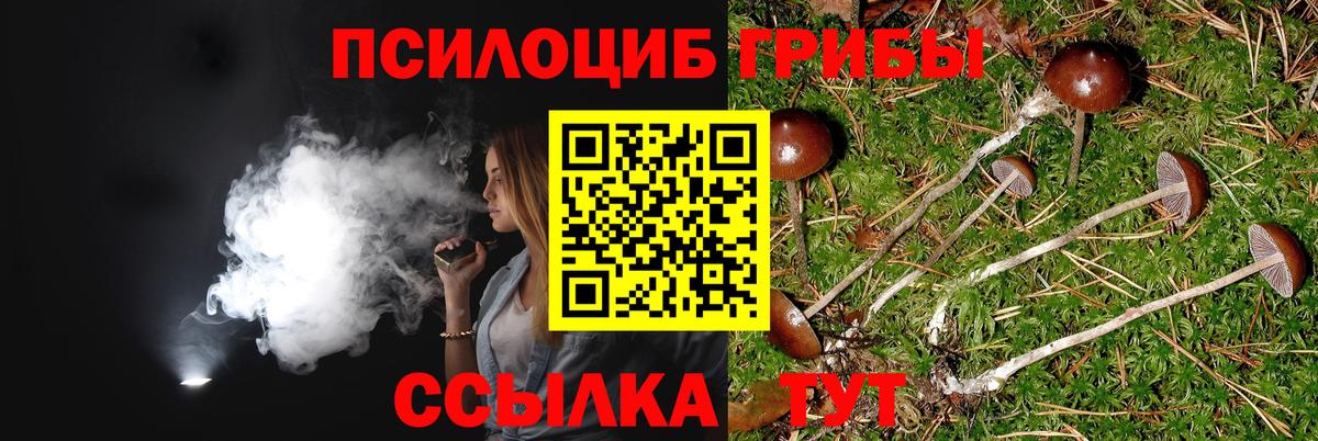 Галлюциногенные грибы MAGIC MUSHROOMS  Вход с VPN  Энгельс  даркнет сайт  Псилоцибиновые грибы GOLDEN TEACHER 